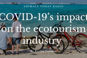 COVID-19’s impact on the ecotourism industry
