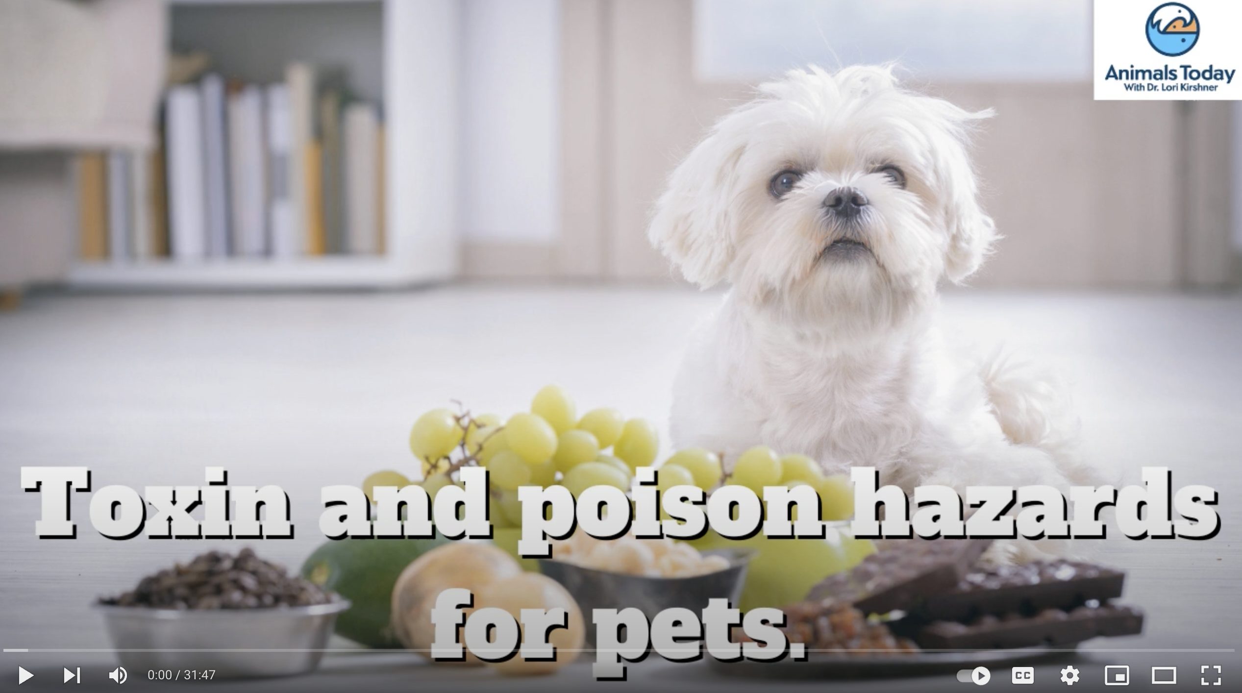 Toxin and poison hazards for pets - good advice here. - Animals Today Radio